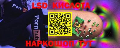 стаф Вязники